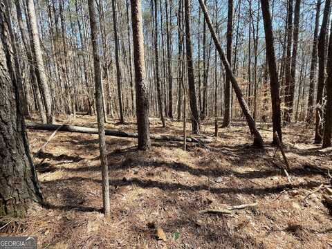 0 Joe Cook, Franklin, GA 30217