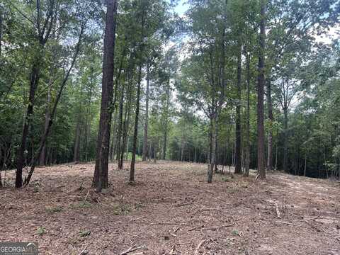 Lot 3 Gum Creek Airport, Roopville, GA 30170