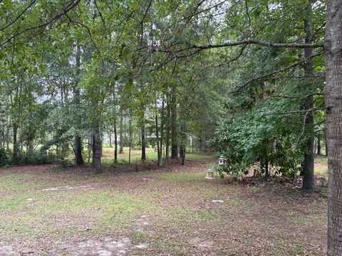 6260 Troupville Road, Quitman, GA 31643