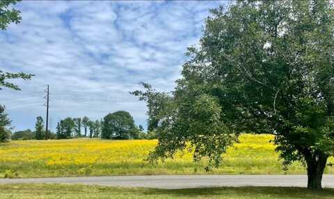 SKYLINE Dr, Jasper, AL 35501