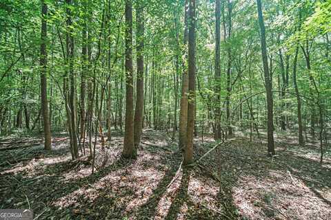 Lot 5 Lord, Commerce, GA 30530