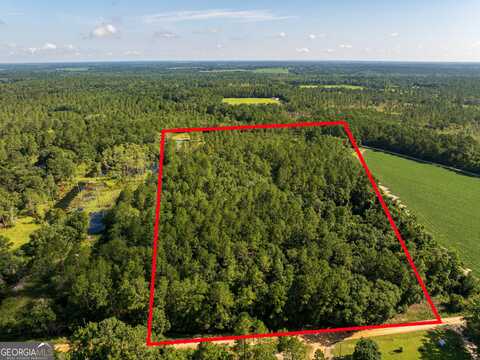 12.05 Acress Roundtree, Quitman, GA 31643