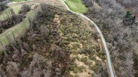 TBA Alexander Estates, Triadelphia, WV 26059