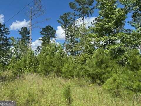 Lot 10 Tennille Oconee, Tennille, GA 31089