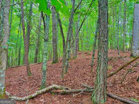 0 Hale, Ellijay, GA 30540