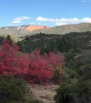 See Directions, Duck Creek Village, UT 84762