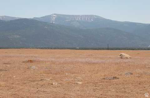 15650 N 8875 E, Spring City, UT 84662
