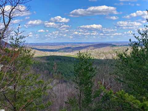 1 Aurora Way, Landrum, SC 29356