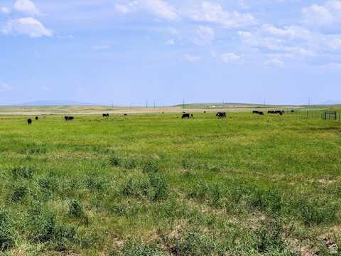 2876 CHESTERFIELD, Bancroft, ID 83217