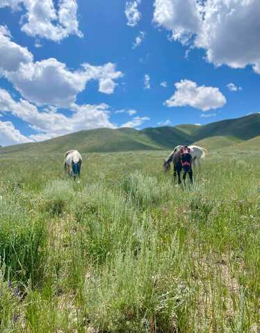 25 STANSBURY AGRICULTURAL PROPERT, Grantsville, UT 84029