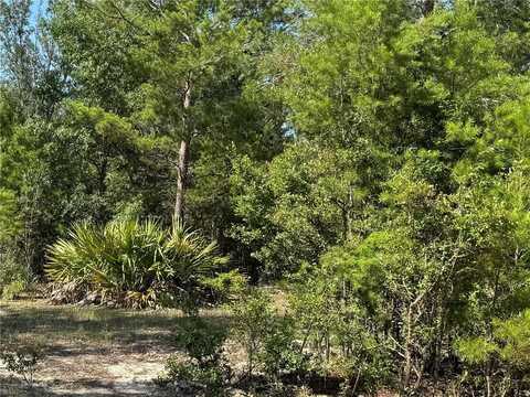 (36) Chatterton Church Road, Other, GA 31554