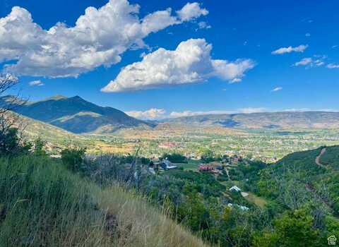 1441 BERRYS, Midway, UT 84049