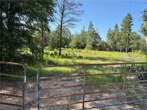 503 Old McHaus Road(Private) Road, Other, GA 31554