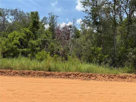 (40) Chatterton Church Road, Other, GA 31554