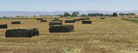 18889 Homestead Road, Delta, CO 81416
