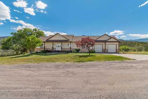 14600 N Ouray Court, Collbran, CO 81624