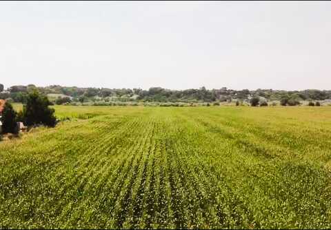 Tbd 1600 Road, Delta, CO 81416