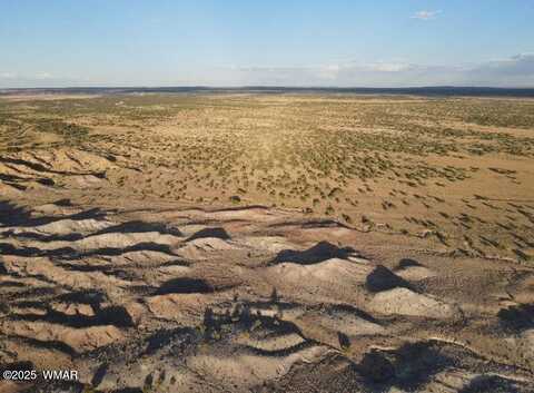 Lot 12 Carrizo Ranch N6204, Saint Johns, AZ 85936