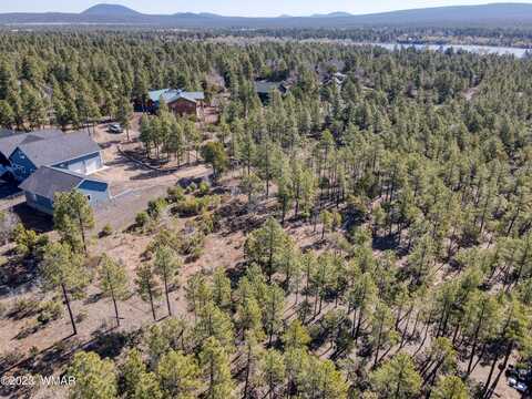 1481 Lacie Lane, Lakeside, AZ 85929