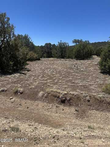 3 County Road, Vernon, AZ 85940