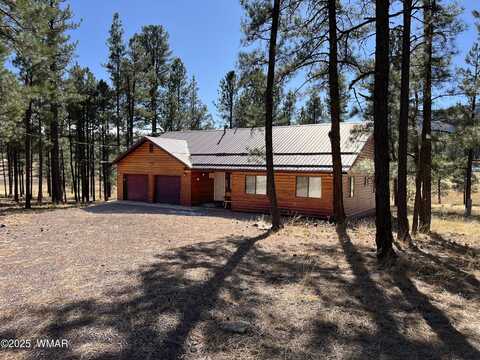 6 County Road 2271, Alpine, AZ 85920