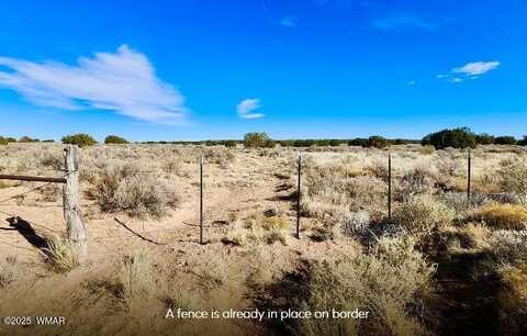 Tbd Cedar Hills 104.79 Acres, Saint Johns, AZ 85936