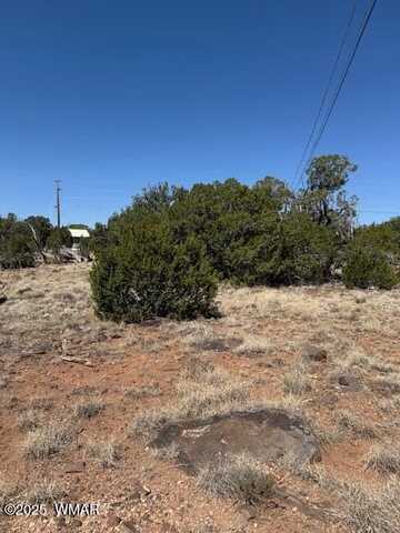 1860 Rainbow Circle, Show Low, AZ 85901