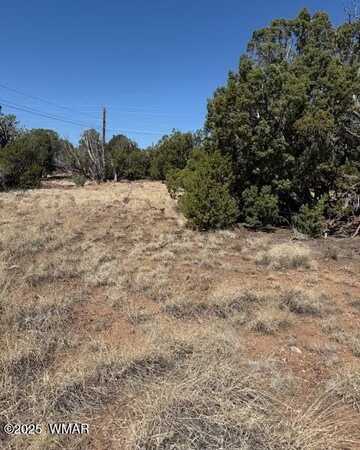 1858 Rainbow Circle, Show Low, AZ 85901