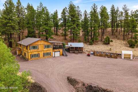 28 County Rd 2310, Alpine, AZ 85920