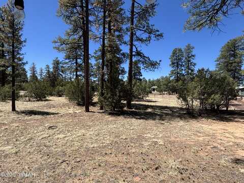 Tbd Between 2901 & 2905 PIne Rim Road, Overgaard, AZ 85933