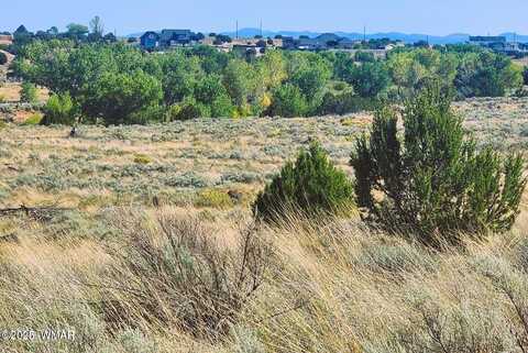 1415 W Tumbleweed Trail, Snowflake, AZ 85937