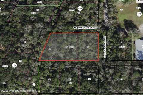 DUNN & PENNSYLVANIA, HOMOSASSA, FL 34448