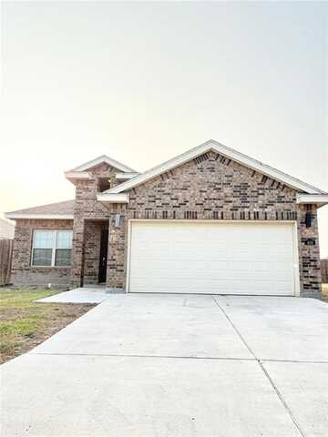 409 S Mina De Oro Street, Mission, TX 78572