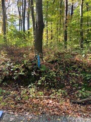 Tr312 Ober Road, Donegal, PA 15687