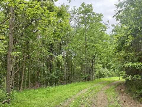 Lot 1 Nowhere Ln, Oakland, PA 16001