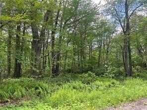 Lots 74,75,76,77 Innsbruck, Jenner Twp, PA 15547