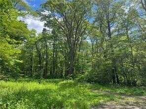 Lots 50,51,68,69 Innsbruck, Jenner Twp, PA 15547