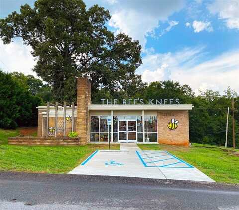 225 Broad Street, Central, SC 29630