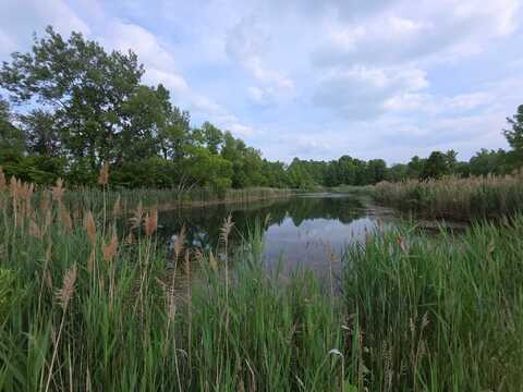 11856 W Snyder Road, Westville, IN 46391