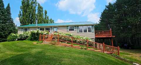 N9127 FOREST RD, Deerbrook, WI 54424