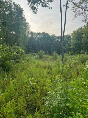 51760 S Foster Road, Chesterfield, MI 48047