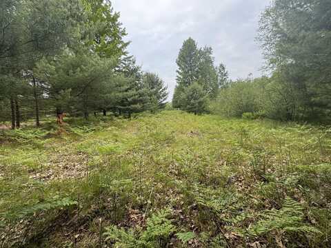 6336 Cedar Trace, Stanwood, MI 49346