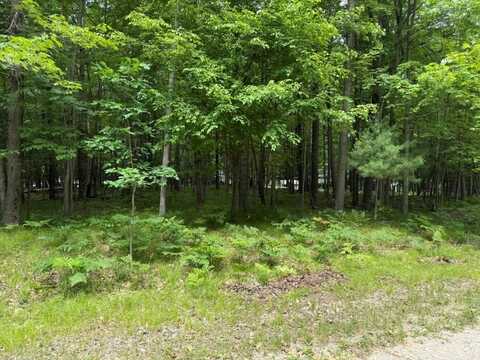 6823 Beechnut Ridge, Stanwood, MI 49346