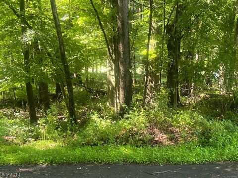 112 North Ct, Montague, NJ 07827