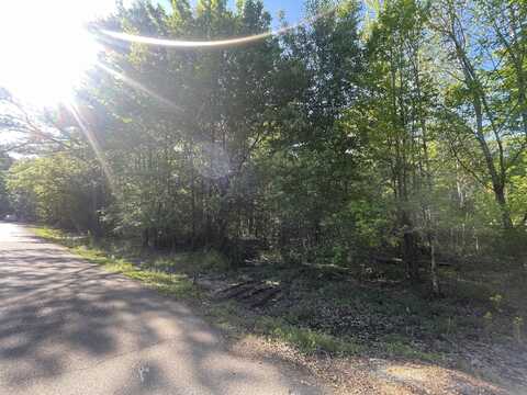 Downs Road, Columbus, MS 39705