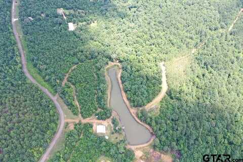 2409 COUNTY ROAD 2303, Lone Star, TX 75668