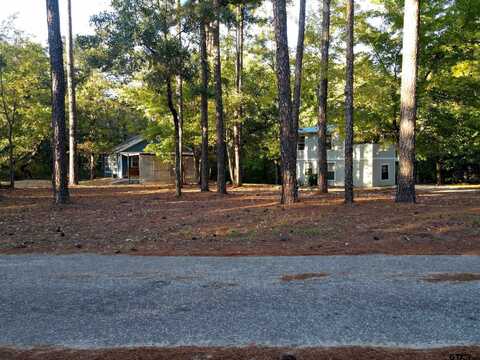 130 PR 8570, Winnsboro, TX 75494