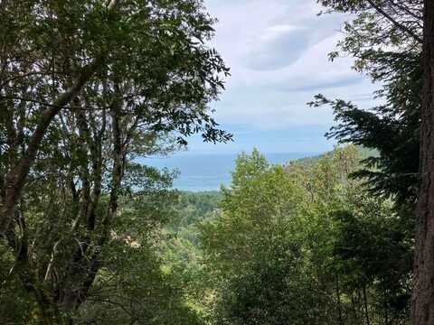 7239 Shelter Cove Road, Whitethorn, CA 95589