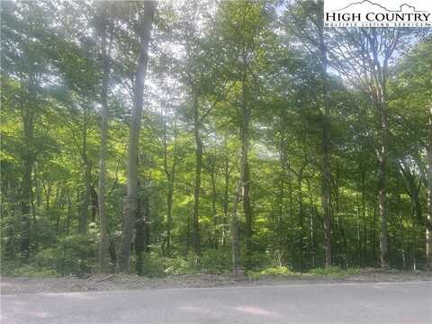 Tbd Grouse Moor Drive, Sugar Mountain, NC 28605