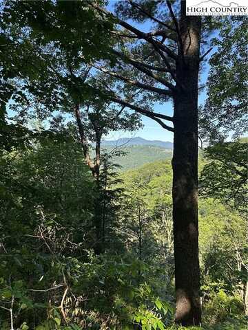 Lot 43 Quail Hollow Drive, Blowing Rock, NC 28605
